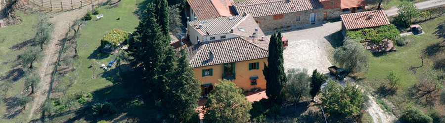 Podere le Pialle visto dall'alto 1 001
